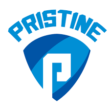 প্রিস্টাইন সিকিউরিটি লিমিটেড